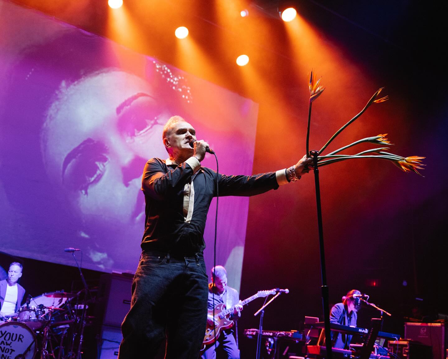 Morrissey